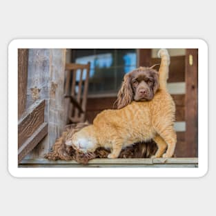 Sussex Spaniels and Friend Sticker